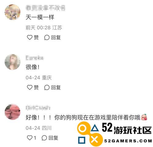 强推!申请以闪亮之名游戏加入养宠人必入清单