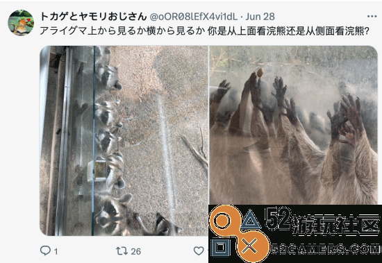 日本动物园发浣熊惊悚照《生化》官方翻牌：太像了