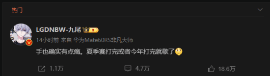 《王者荣耀》职业选手九尾或因手伤暂别赛场：今年结束后将正式退役