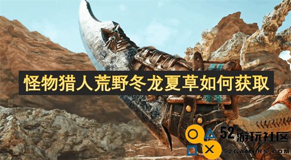 如何在怪物猎人荒野中获取冬龙夏草的详细攻略与技巧
